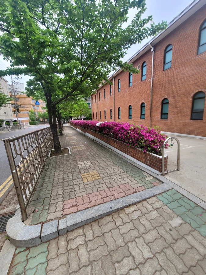 경기 안성 대덕면 물류창고 MMA포장 시공 완료 바닥면
